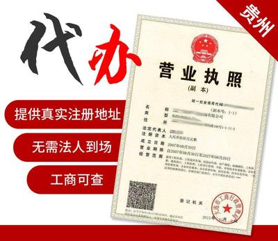 貴陽代辦個體工商戶營業執照與公司注冊代理記賬 互聯網銷售業務的專業指南